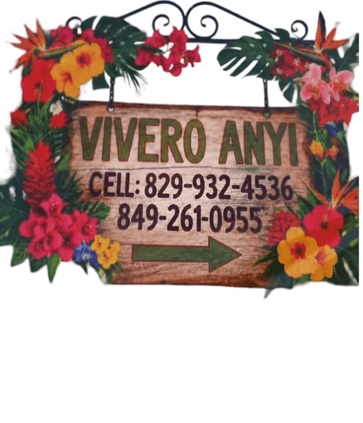 Vivero Anyi